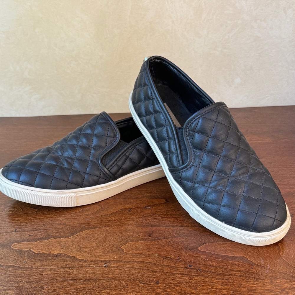 Steve Madden ECENTRCQ
